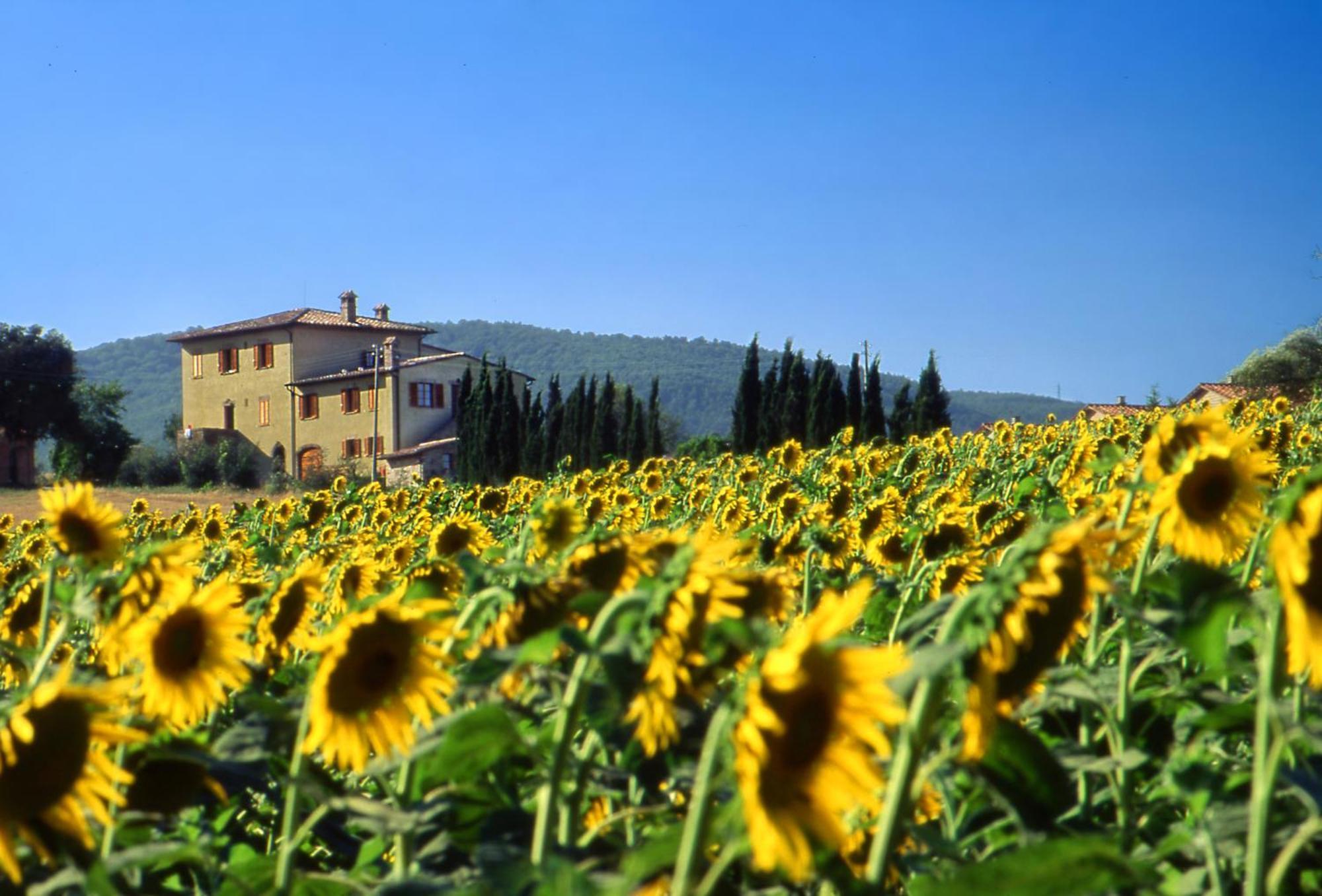 Agriturismo Palazzo Bandino - Wine Cellar, On Reservation Restaurant And Spa Chianciano Terme Exterior foto